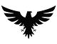 Aquila