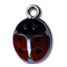 Coccinella