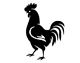 Gallo