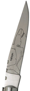 Squalo