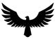 Aquila