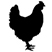 Gallina