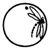 libellula