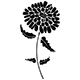 Fiore2