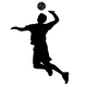 Pallavolo