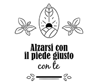 Modello 10