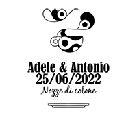 Modello 6