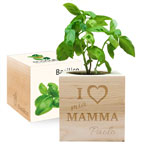 Ecocube maman