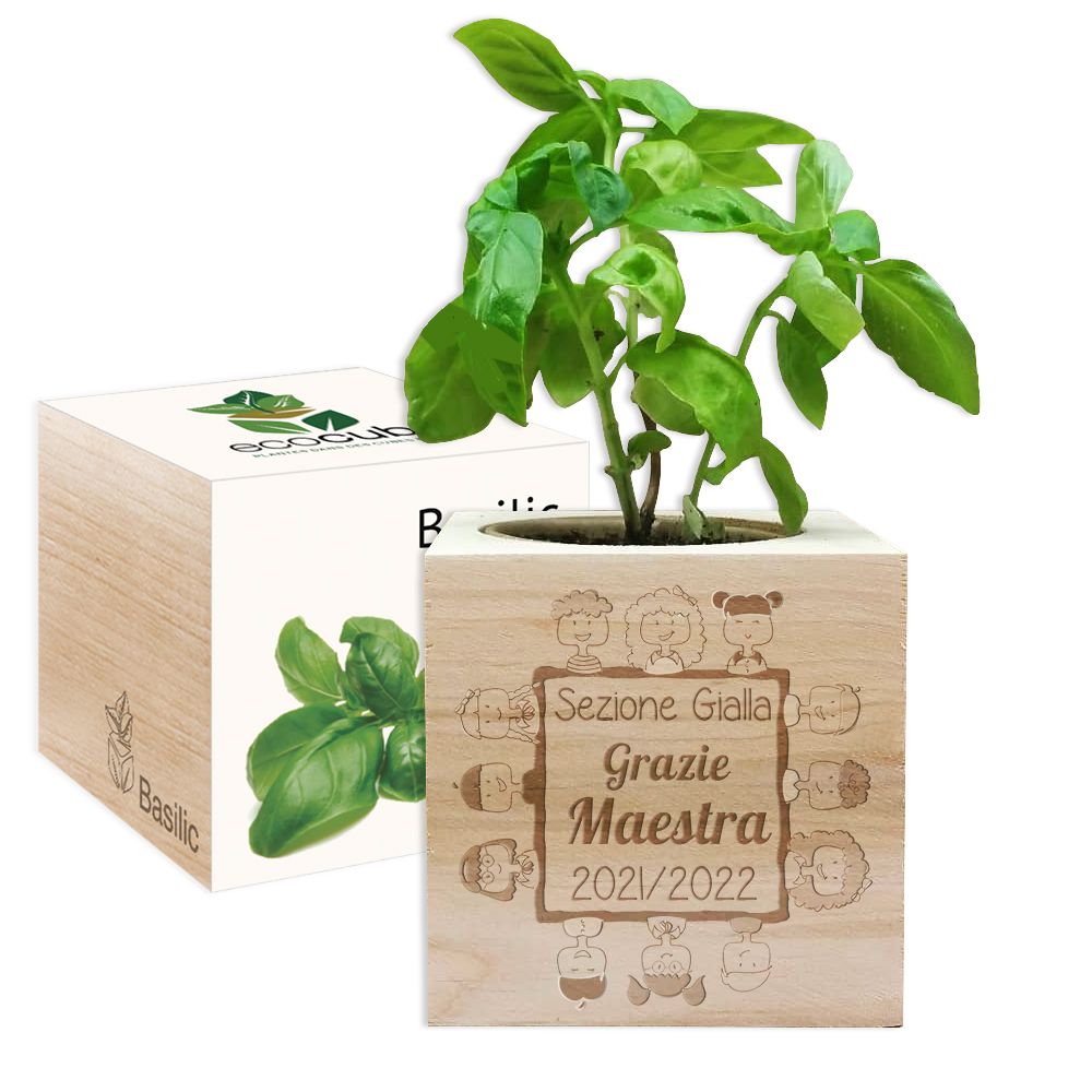 EcoCube personalizzato Grazie Maestra EcoCube personalizzato Grazie Maestra