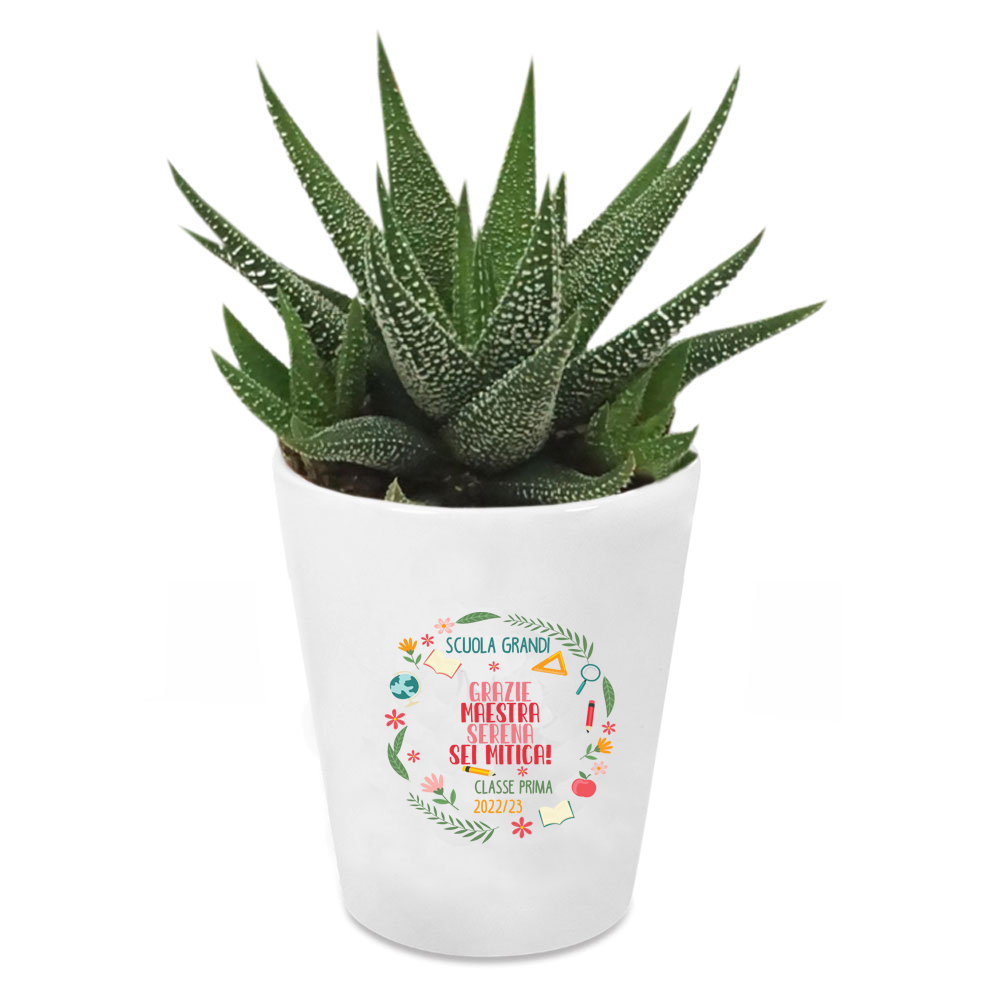 Un vaso personalizzato con pianta grassa per le maestre